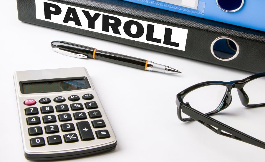 Payroll process managing
