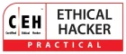 ceh-ethical-hacker.webp